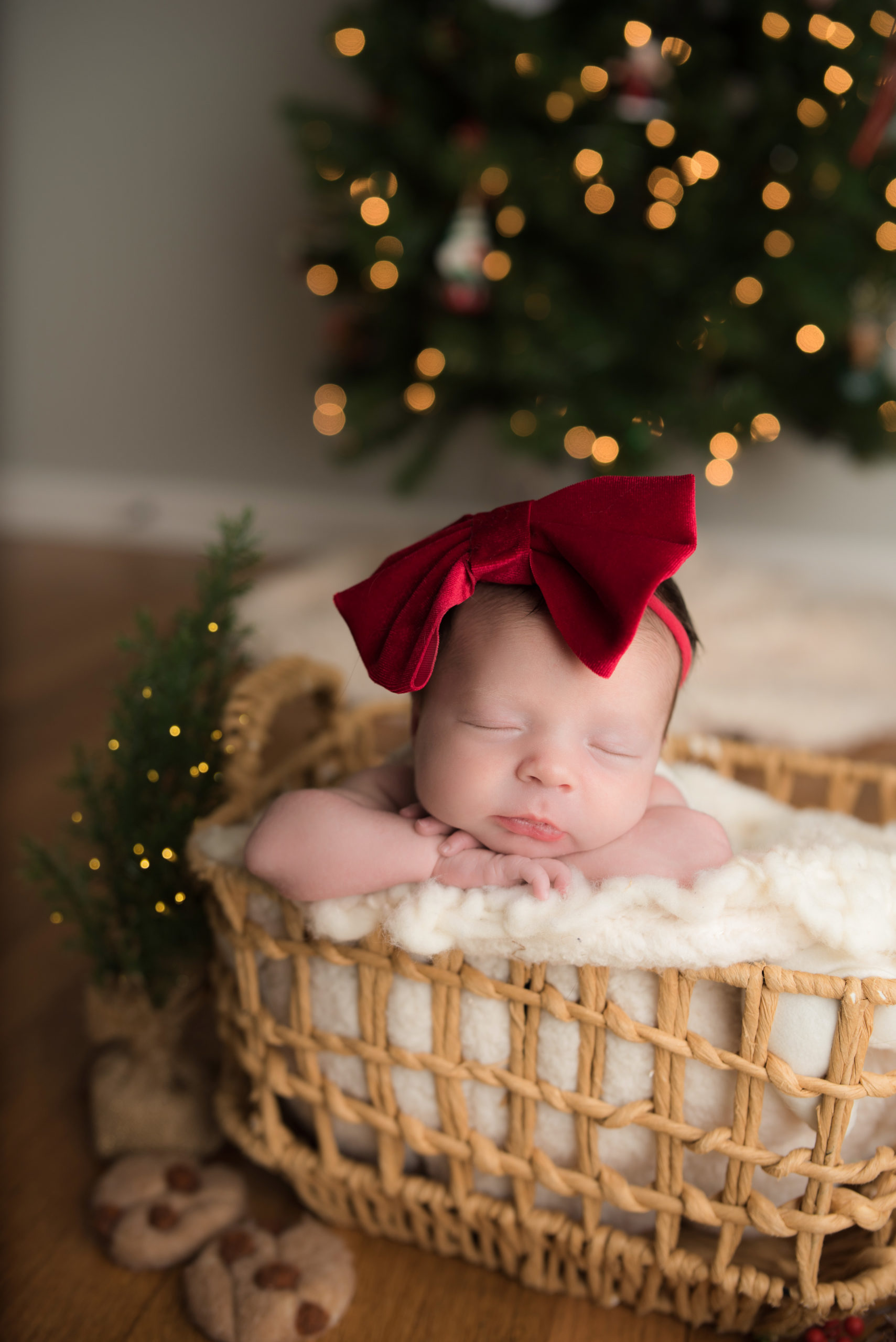 newborn baby girl wearing red bow posed in basket in front of christmas tree